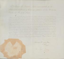 Carta de Plenos Poderes do Governo de Buenos Aires, com nomeação do General Dom Tomás Guido (1788...