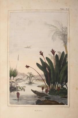 Litografia colorida, datada de 1834 e de autoria de Jean-Baptiste Debret, retratando uma paisagem...