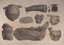 Litogravura datada de 1831, de autoria de Thomas Ender (1793 – 1875) e parte integrante da obra d...