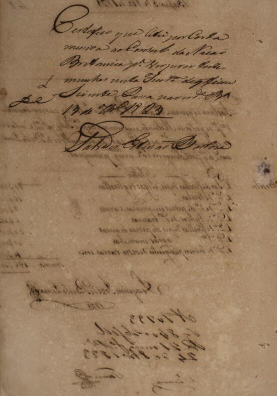 Open original Document numérique