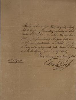 Processo original redigido pelo escrivão Braz Martins Costa Passos com data de 2 de setembro de 1840, no qual se registra o encaminhamento de um conjunto de documentos relacionados ao processo judicial de apreensão do patacho português “Paquete de Benguela”, propriedade de Manoel Joaquim Teixeira e José Joaquim Teixeira, que era comandado pelo mestre Francisco Ferreira Nunes. A embarcação em questão foi capturada por Thomas Frederico Birch, comandante do brigue de guerra inglês “Wizard”. O processo busca reunir informações para a devida tramitação do caso na Comissão Mista anglo-brasileira sobre o tráfico de escravizados.