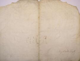 Carta patente original datada do dia 4 de novembro de 1819, de Tomás António de Vila Nova Portuga...