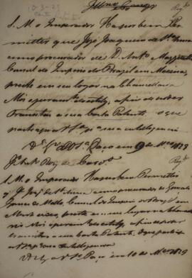 Minuta de carta patente datada de 10 de março de 1829 em que o Imperador permite a nomeação de Jo...