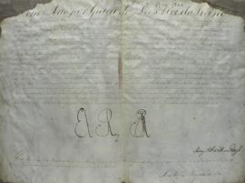 Carta Patente de 16 de dezembro de 1820, de D. João VI (1767-1826), nomeando Aurélio Gracindo Tot...