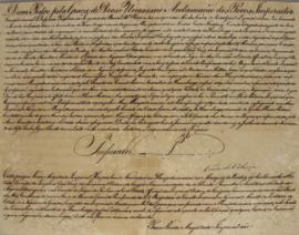 Carta patente de plenos poderes dos representantes brasileiros, João Severino Maciel da Costa (17...