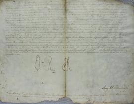 Carta patente assinada por D. João VI (1767-1826), no Palácio do Rio de Janeiro, em 23 de feverei...