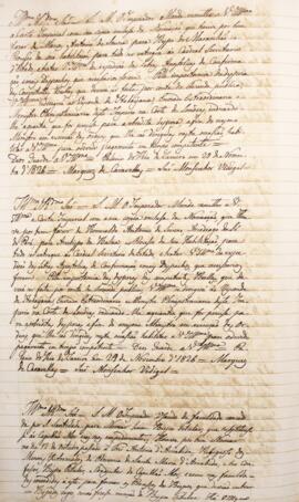 Cópia de despacho enviado por José Joaquim Carneiro de Campos (1768-1836), Marquês de Caravelas, ...
