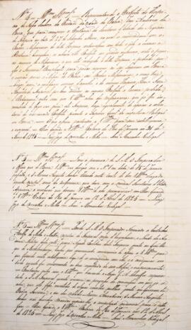 Cópia de despacho enviado por Luís José de Carvalho e Melo (1764-1826), Visconde da Cachoeira, pa...