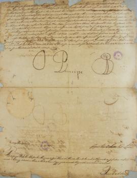 Carta patente assinada por D. João VI no Rio de Janeiro em 10 de fevereiro de 1813 nomeando João ...