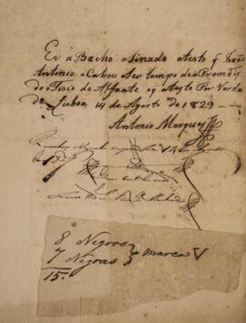 Certificado original, com data de 14 de agosto de 1829, atestando a veracidade do serviço prestado por João Antônio como presidente do fisco de alfaiate em Lisboa.