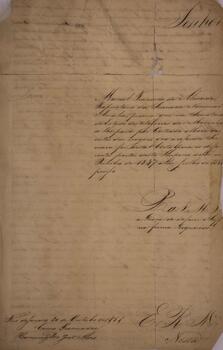 Certidão original escrito por Hermenegildo João Alves, com data de 20 de outubro de 1851, contendo a solicitação de Manoel Francisco de Almeida, proprietário da sumaca brasileira “Nova Amalia”, para a Secretaria de Estado dos Negócios da Marinha de uma certidão contendo as viagens desta embarcação que partiram do porto do Rio de Janeiro para outros portos do Império do Brasil entre outubro de 1847 à julho de 1851.